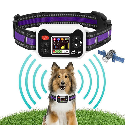 PetGuardZone GPS Smart Fence Collar (No Digging, No Monthly Fees)